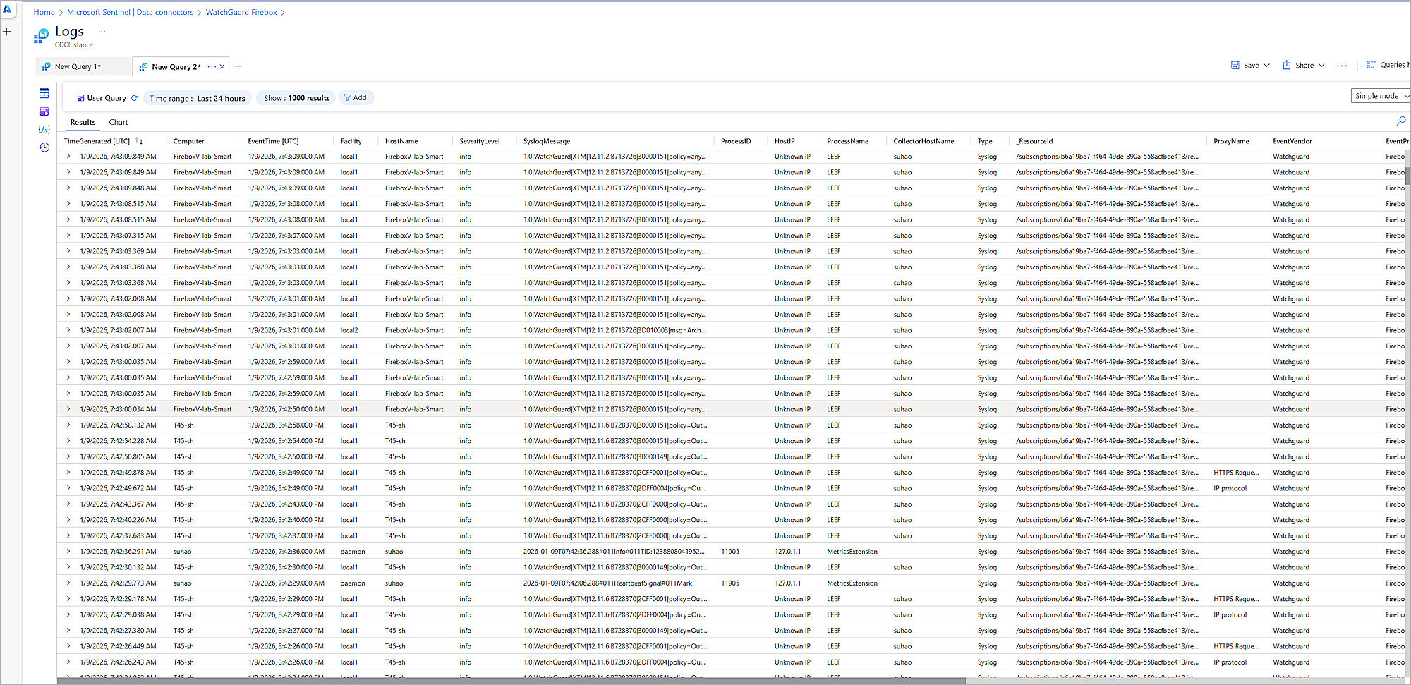 Screen shot of the query
